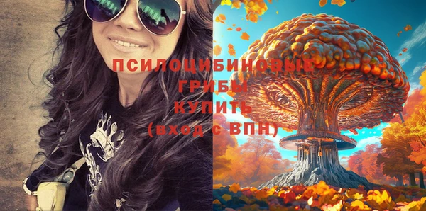 мдпв Ладушкин
