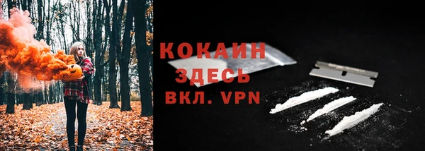 дживик Абаза